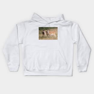 Fallow Deer - Bushy Park, London Kids Hoodie